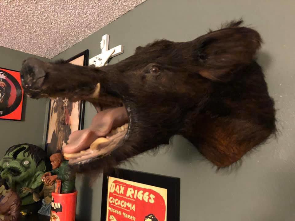 Wildly terrifying